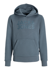 Jack & Jones Logo Hættetrøje Mini -Stormy Weather - 12257306