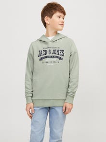 Jack & Jones Felpa con cappuccio Stampato Mini -Desert Sage - 12257309