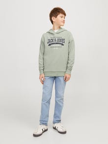 Jack & Jones Potištěný Mikina s kapucí Mini -Desert Sage - 12257309