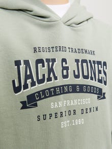 Jack & Jones Spausdintas raštas Megztinis su gobtuvu Mini -Desert Sage - 12257309