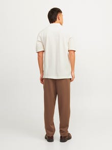Jack & Jones Vienspalvis Polo -Cloud Dancer - 12257315