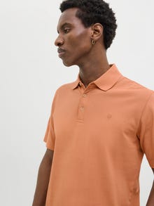 Jack & Jones Camicia polo Semplice Collo Camicia -Sunburn - 12257315