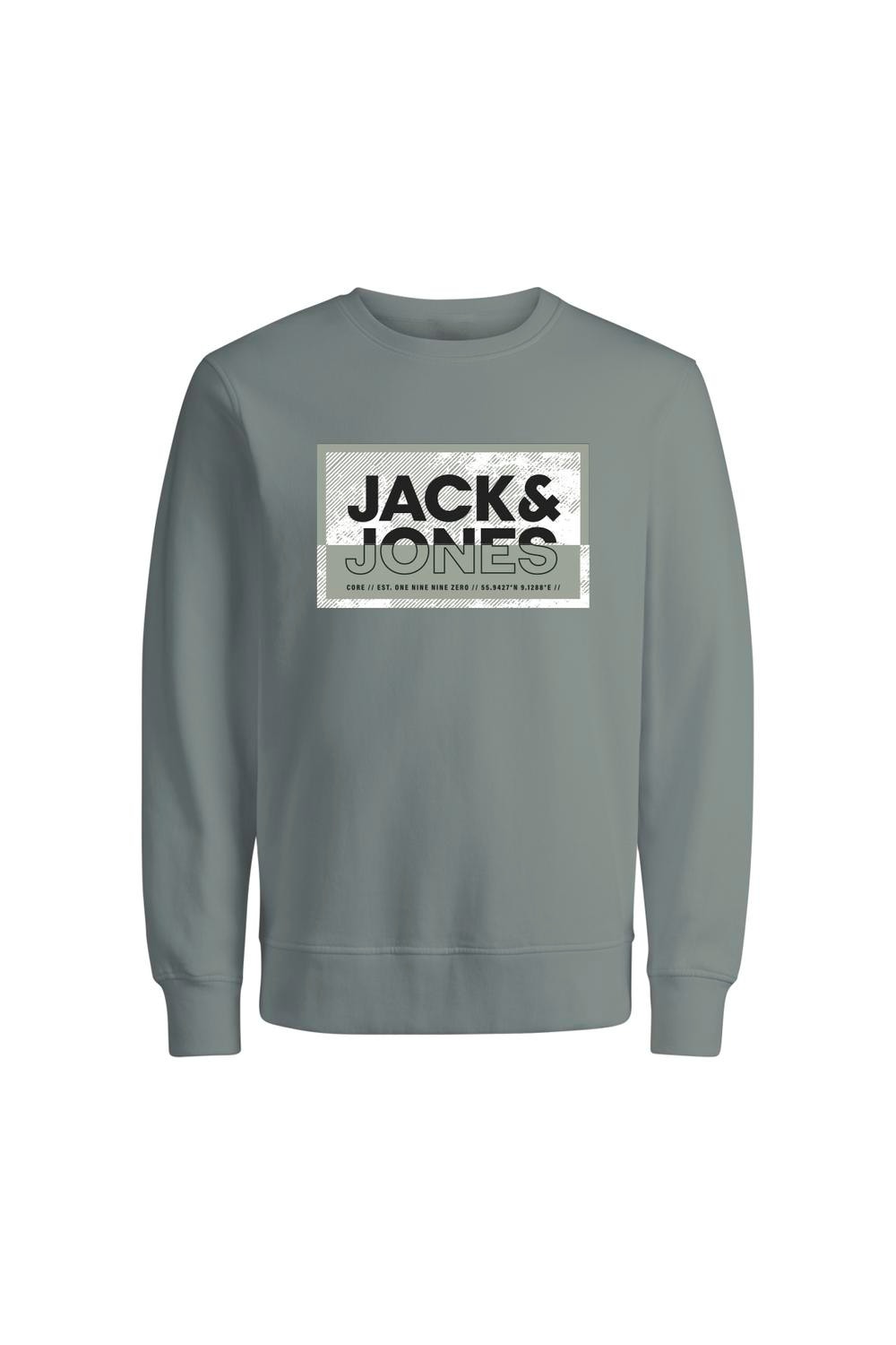 Jack & Jones Spausdintas raštas Apatinis prakaituojantis megztinis For boys -Agave Green - 12257439