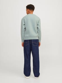 Jack & Jones Printet Sweatshirt med rund hals Mini -Gray Mist - 12257442