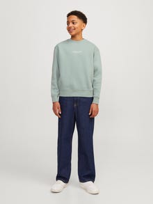 Jack & Jones Printed Crew neck Sweatshirt Mini -Gray Mist - 12257442