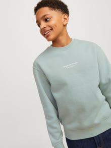 Jack & Jones Printet Sweatshirt med rund hals Mini -Gray Mist - 12257442