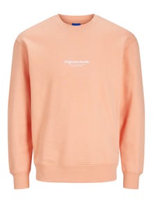 Jack & Jones Printet Sweatshirt med rund hals Mini -Canyon Sunset - 12257442