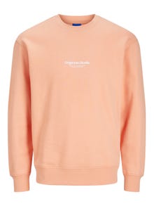 Jack & Jones Spausdintas raštas Apatinis prakaituojantis megztinis Mini -Canyon Sunset - 12257442