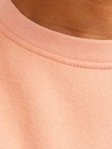 Jack & Jones Printet Sweatshirt med rund hals Mini -Canyon Sunset - 12257442