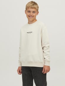 Jack & Jones Gedrukt Sweatshirt met ronde hals Mini -Moonbeam - 12257442