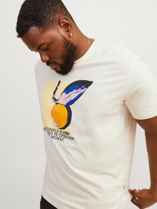 Jack & Jones Plus Size Printed T-shirt -Buttercream - 12257560