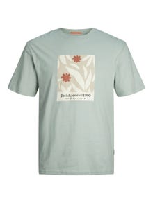 Jack & Jones T-shirt Imprimé Pour les garçons -Gray Mist - 12257641