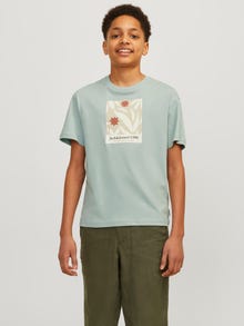 Jack & Jones Printed T-shirt For boys -Gray Mist - 12257641