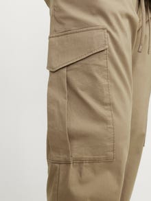 Jack & Jones Plus Size Cargo fit „Cargo“ stiliaus kelnės -Elmwood - 12257674