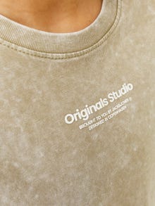 Jack & Jones Spausdintas raštas Marškinėliai Jaunimui -Silver Sage - 12257747