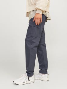 Jack & Jones Loose Fit Cargo pants -India Ink - 12258150