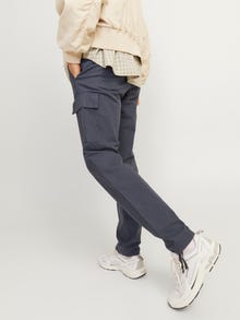 Jack & Jones Loose Fit Cargo pants -India Ink - 12258150