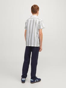 Jack & Jones Overhemd Voor jongens -Lily Pad - 12258280