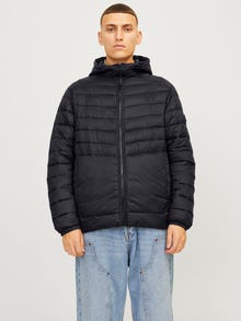 Jack & Jones Toppatakki -Black - 12258441