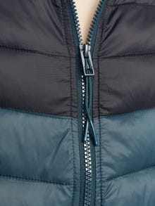Jack & Jones Pūkinė striukė -Magical Forest - 12258444