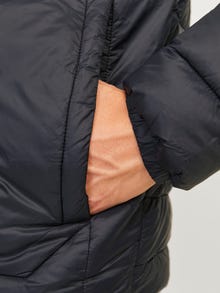 Jack & Jones Consigue el look - 1904203742