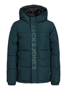 Jack & Jones Pūkinė striukė Mini -Magical Forest - 12258776