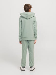 Jack & Jones Logo Hoodie Junior -Iceberg Green - 12258823
