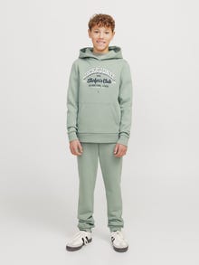 Jack & Jones Logo Hoodie Junior -Iceberg Green - 12258823