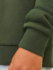 Jack & Jones Logotipas Megztinis su gobtuvu Mini -Kombu Green - 12258824