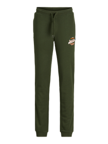 Jack & Jones Sportinės kelnės Mini -Kombu Green - 12258851