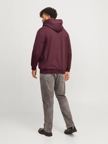 Jack & Jones Consigue el look - 1908202782