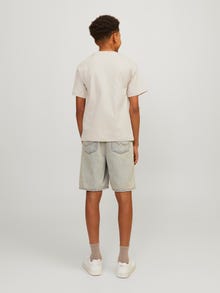 Jack & Jones Bez vzoru Tričko Junior -Moonbeam - 12258902