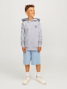 Jack & Jones Logotipas Džemperis Jaunimui -White Melange - 12258968