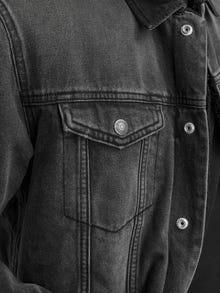 Jack & Jones Adoptez le look - 1904204139