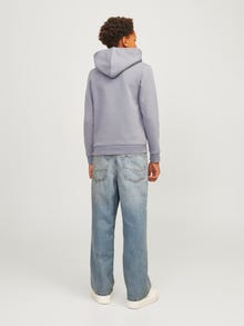 Jack & Jones JJIALEX JJORIGINAL MF 607 SN JNR Baggy džinsai Jaunimui -Blue Denim - 12259294