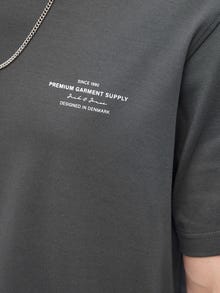 Jack & Jones Spausdintas raštas Marškinėliai -Volcanic Ash - 12259357