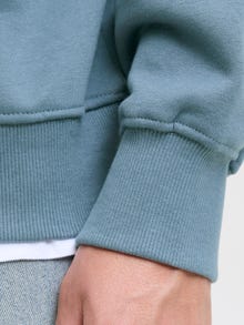 Jack & Jones Adoptez le look - 2111205720