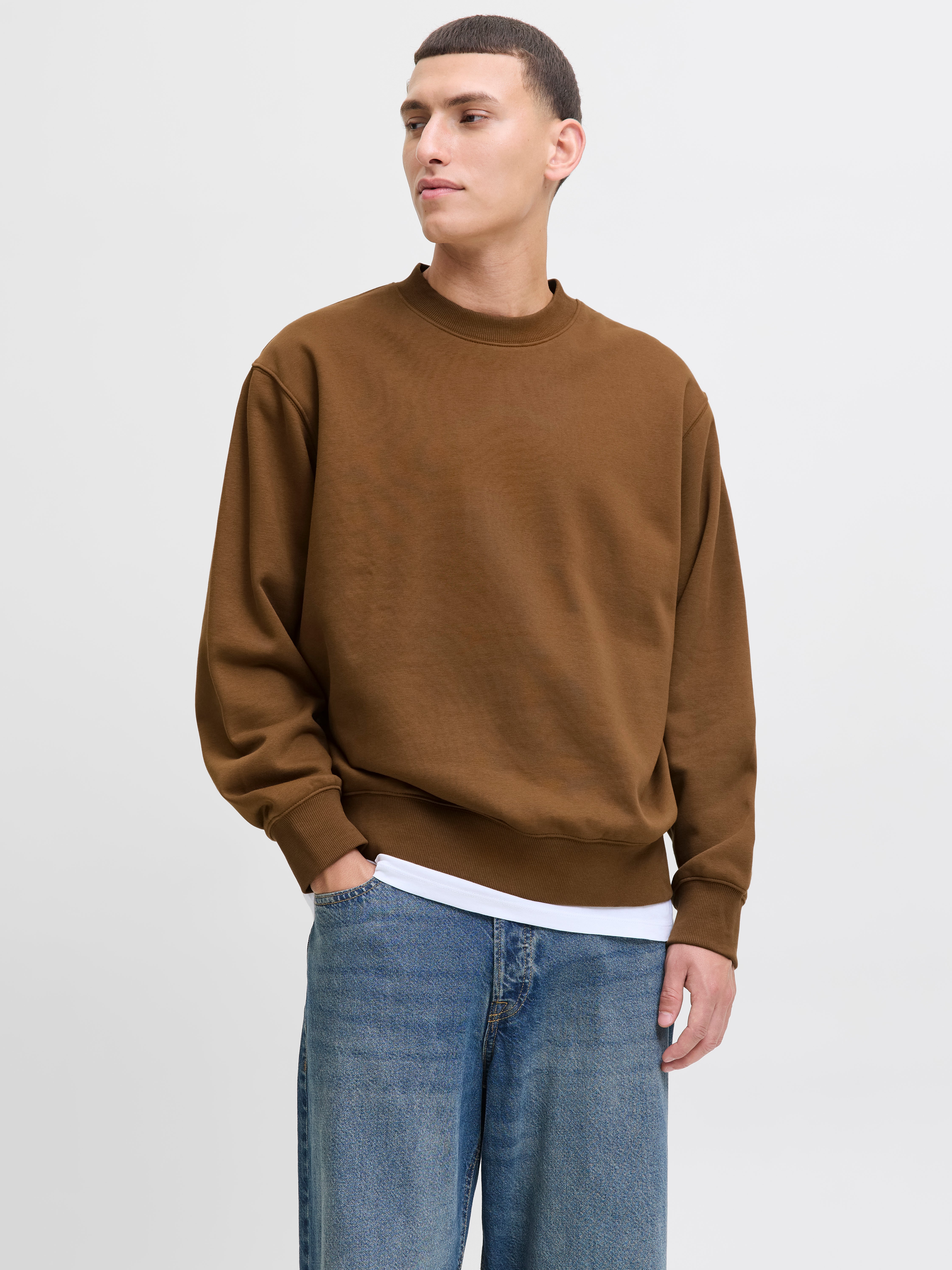 Einfarbig Sweatshirt