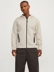Jack & Jones Vienspalvis Užtrauktukas su gobtuvu -Moonbeam - 12260150