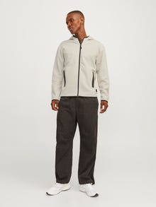 Jack & Jones Vienspalvis Užtrauktukas su gobtuvu -Moonbeam - 12260150