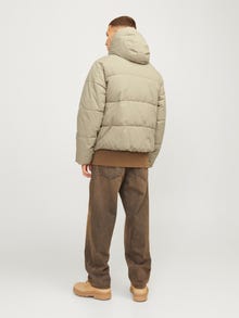 Jack & Jones Pūkinė striukė -Silver Sage - 12260433