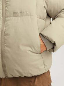 Jack & Jones Pūkinė striukė -Silver Sage - 12260433