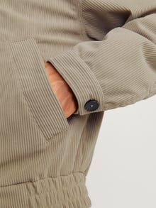 Jack & Jones Bomber striukė -Silver Sage - 12260462