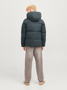 Jack & Jones Pūkinė striukė Jaunimui -Forest River - 12260476