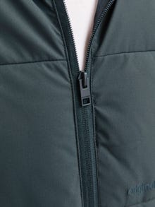 Jack & Jones Pūkinė striukė Jaunimui -Forest River - 12260476