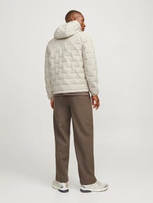 Jack & Jones Stuokliuotas švarkas -Moonbeam - 12260478