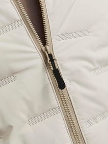 Jack & Jones Stuokliuotas švarkas -Moonbeam - 12260478