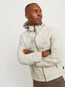 Jack & Jones Stuokliuotas švarkas -Moonbeam - 12260478