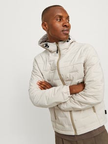 Jack & Jones Casaco acolchoado -Moonbeam - 12260478