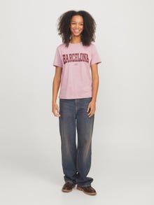 JJXX JXMERLE T-shirt -Mauve Shadows - 12260607